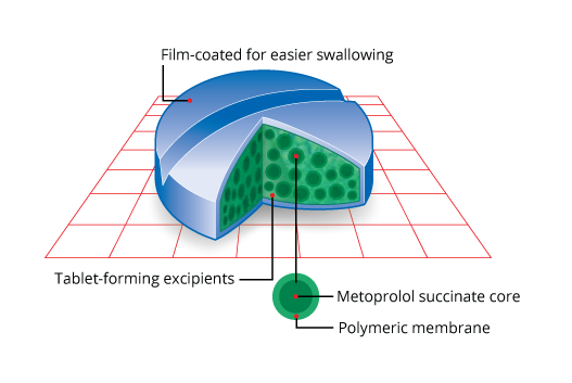 TOPROL-XL Extended Release Tablets